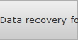 Data recovery for Long Beach data